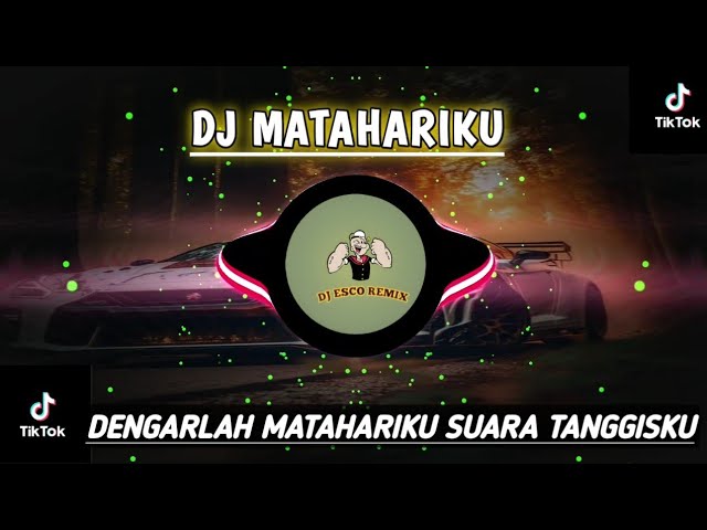 DJ MATAHARIKU -DENGARLAH MATAHARIKU SUARA TANGISANKU REMIX FULL BASS VIRAL TIKTOK TERBARU 2023 class=