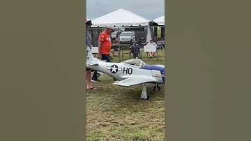 Top Gun: Large Scale P-51 Mustang