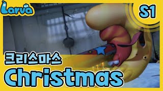 Larva S01 라바 시즌 1 Episode 047크리스마스Christmas 케이블 Tvvod