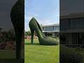 I Grew a High Heel in My Backyard… 👠😳 #backyard #gardendesign #gardenmakeover #plants