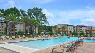 Oasis at Lake Bennet Apartments in Ocoee, FL - ForRent.com
