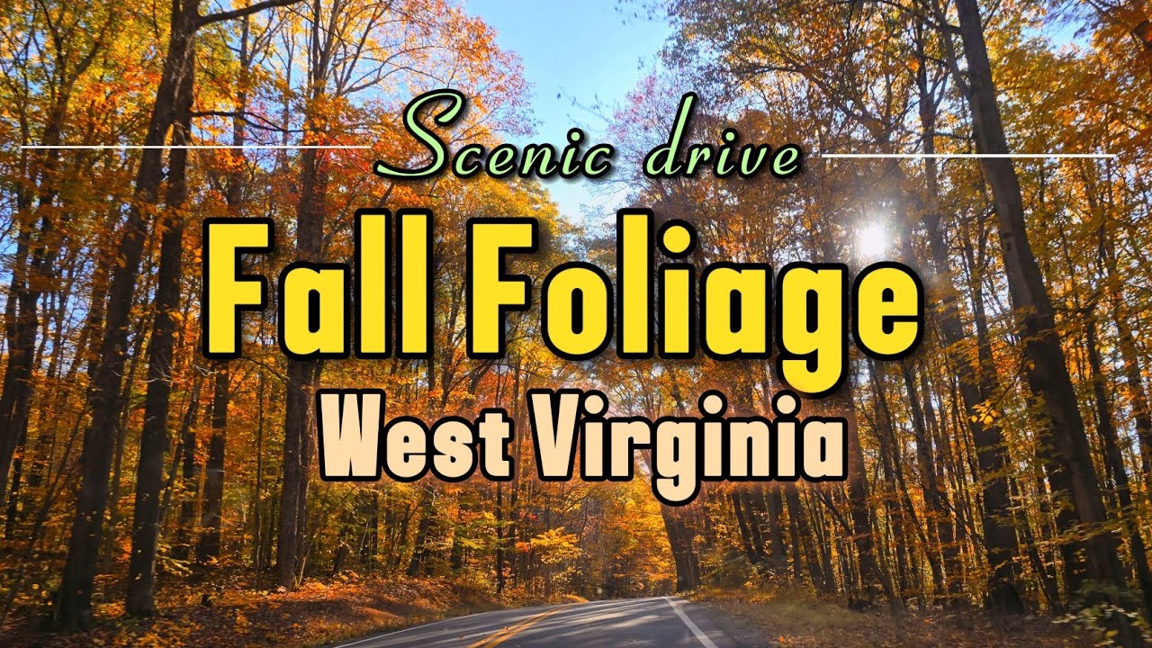 Fall 4k Drive Beautiful fall foliage scenic drive| Autumn Drive with peaceful ...