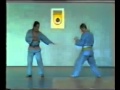 Cách mà VOVINAM tập luyện cách đây hơn 20 năm.