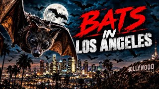 BATS IN LOS ANGELES