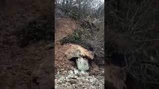 Bembridge Cliff Fall Shocking Coastal Erosion