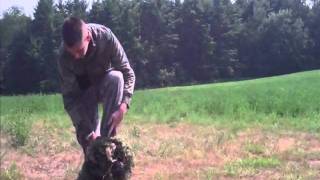 Operation GrassMan