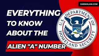 Everything you need to know about the A number What Is A Number Immigration