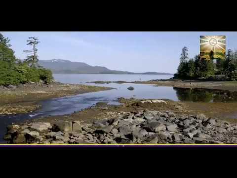 كم عدد الانبياء الذين يتكلمون العربيه شاهد هذا المقطع ممتاز