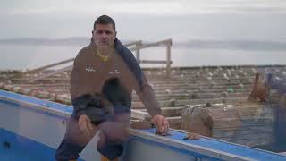 OPTIMA VIDÉO ESPAGNA SOUS-TITRES ANGLAIS - OPTIMA SPAIN VIDEO SUB ENG