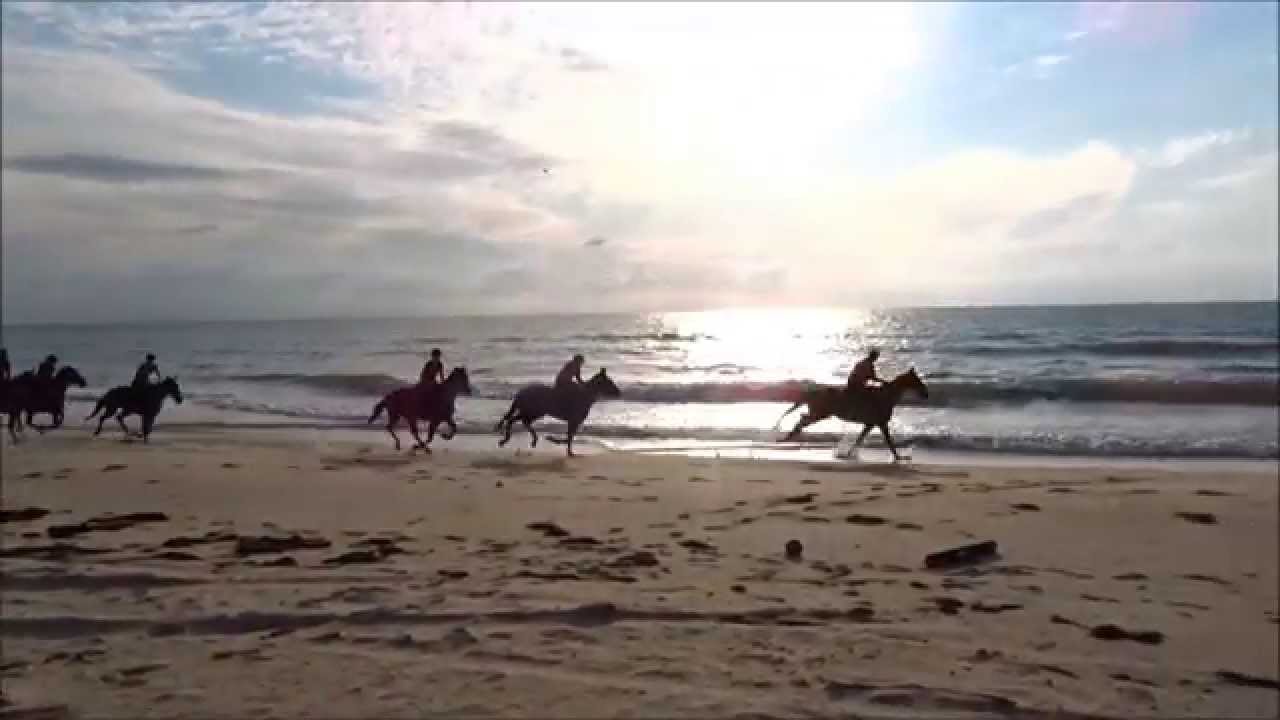 Galop plage été 2015