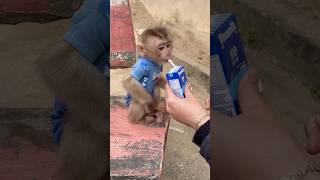 Mom Is Giving Bubu Milk.