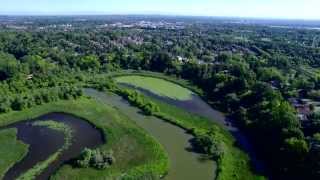 Rouge Park Beach Area 4K - Aerial Drone