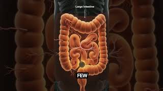 Swallowed a Coin Here's What Happen Inside Your Body #anatomy #humanbody #digestivesystem