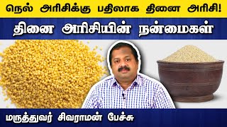     Dr Sivaraman Speech About Foxtail Millet Benefits In Tamil