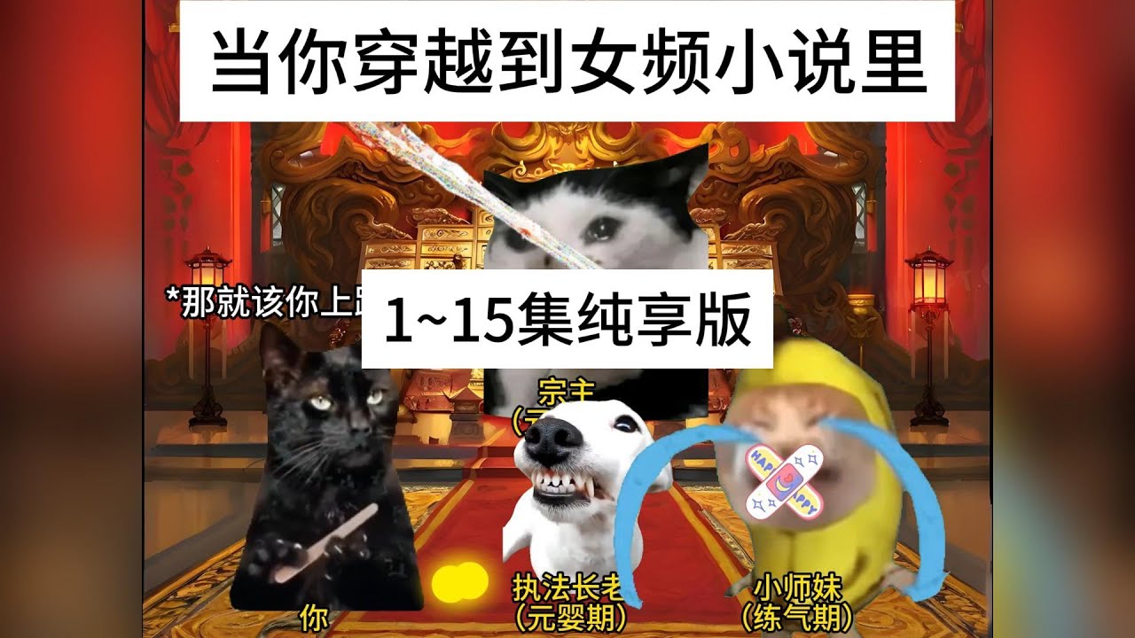 当你穿越到女频小说里1-15集纯享版#猫meme #搞笑 #表情包 #貓meme #貓貓最可愛