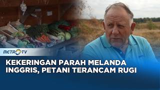 Kekeringan Ekstrem Melanda Inggris, Petani Terancam Rugi Besar