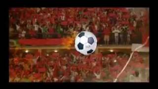 Can Mout 2012 Maroc Telecom Soutient Les Lions De Latlas