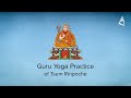 Guru Yoga Practice of Tsem Rinpoche (Visualisation Guide)