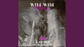 Смотреть клип Wild Wild Horses (Bigbeat Remix)