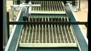 Hamilton Multi-Purpose Conveyor.avi