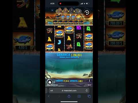 TAMPICO FUCHO CASINO 2