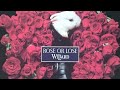 THE WILLARD/ROSE OR LOSE