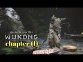 Black Myth:Wukong, (chapter 1) all Boss fight😱 #blackmythwukonggameplay4k #ps5.