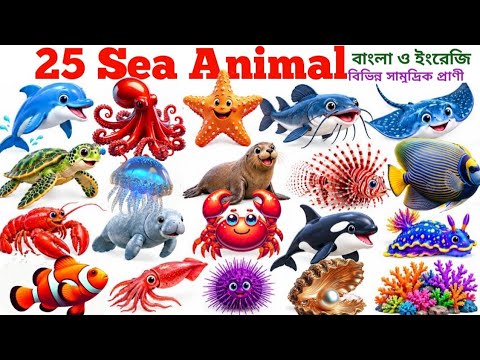 Names of Sea Animals With Pictures | Kids Learning 25 Sea Animal Names in English & Bengali | Oce...