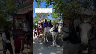 Looking for an end of summer vacation? Wanderful experiences await in Tuolumne County!