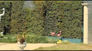 jackass 3D 'Jet Ski'