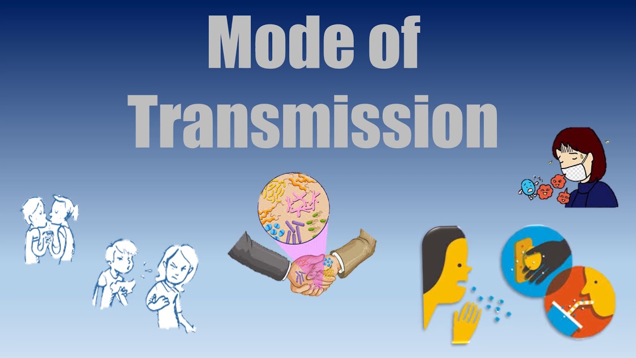 Influenza chain of infection - YouTube