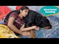 Emotional bonding between Anshu and Jerry||Cute dog video.