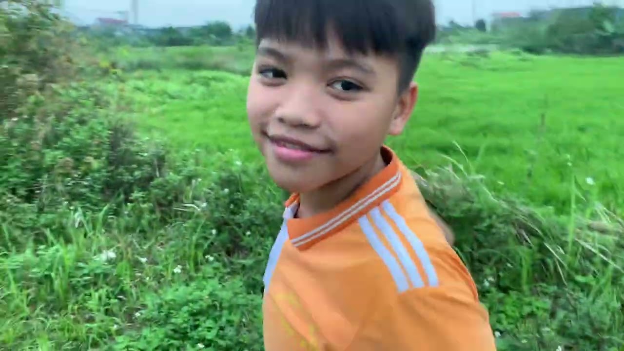 Seri trốn tìm like