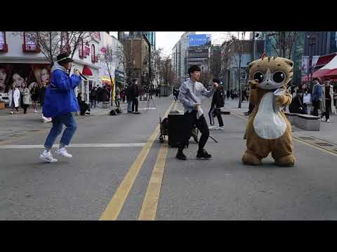 JHKTV] 신촌 명물고양이와 양&amp;amp;<strong>최</strong>  shin chon special cat dance yang &amp;amp;<strong>choi</strong>
