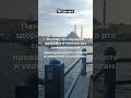 Япония - правила,законы и традиции #shorts#законы#правила#юмор#странныезаконы