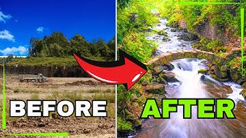 What 200 YEARS of REWILDING Looks Like