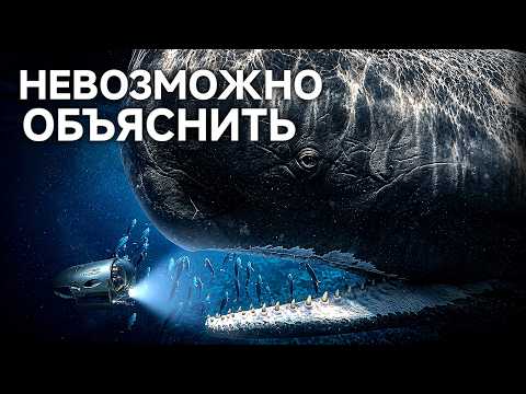 Sperm Whale | A Deadly Creature Dominating the Ocean Depths