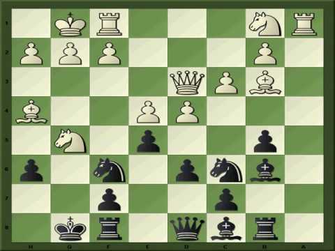 Lecture by Grandmaster Joshua Friedel on Classic Chess — DMV Chess