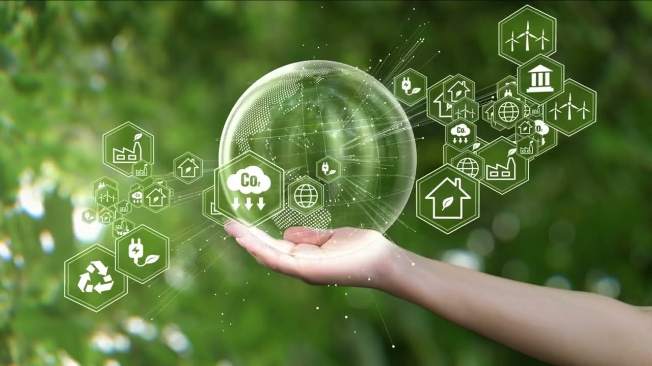 3 Easy Eco Tips: Transform Your Life 🌿