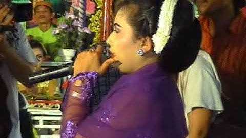 KESENIAN MADURA TAYUP KARAWITAN PUTRI FAMILI FULL   HANDAYANI RECORD