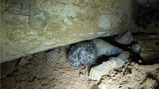 He Got Stuck Inside A 300Ft Sinkhole Behind A Battery Plant