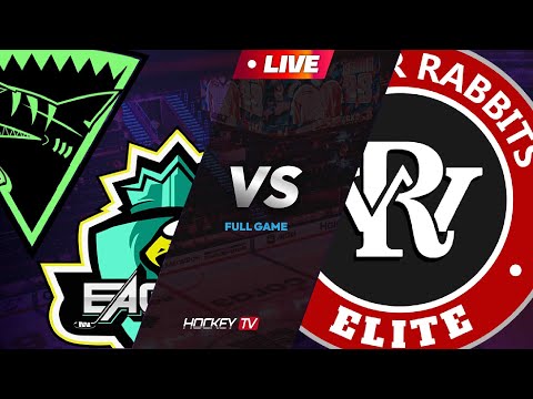 2023년 성북 노원 권역별 아이스하키대회 G3 이글타샥 vs 래빗츠 [FULLGAME] 2023.12.25