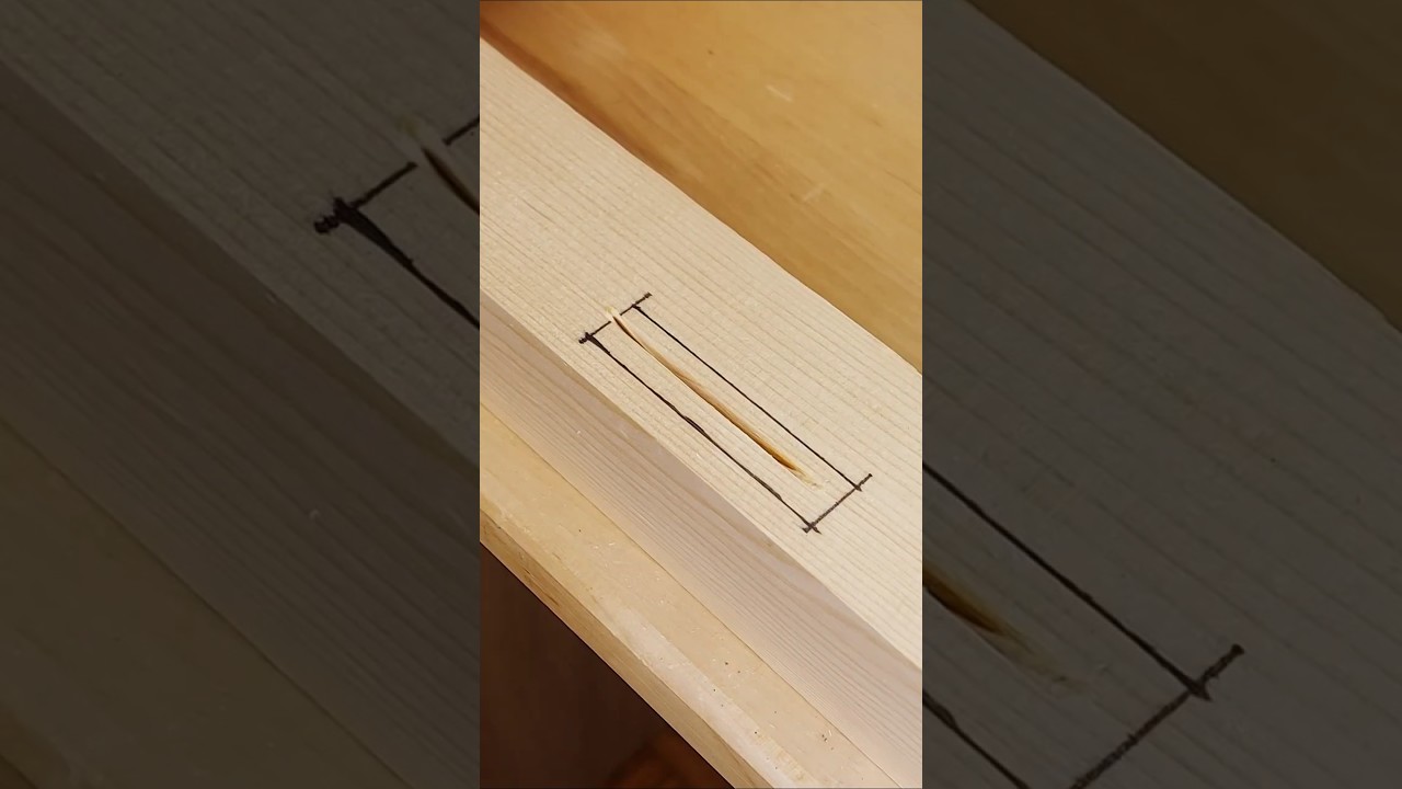 Simple Wood Repair 🪵 #diy #woodworking #shorts