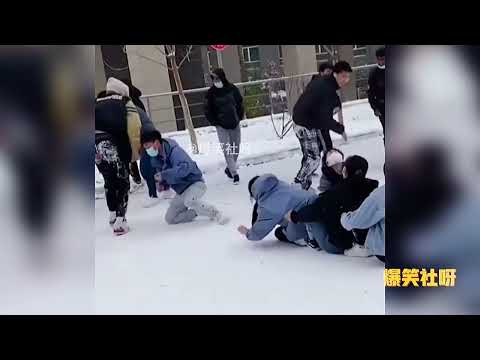 盘点北方的冬天到底有多快乐，南方人永远体会不到，看完你羡慕吗