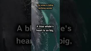 The ocean is hiding terrifying secrets #shorts