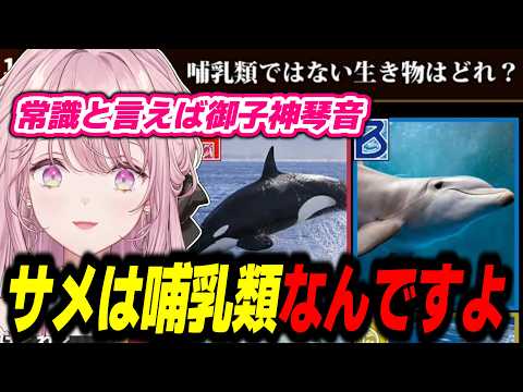 とんでもない常識力を魅せつける御子神琴音が面白すぎた【全国一般人常識チェック/七御子神琴音/にじさんじ/切り抜き】