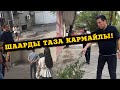 МЭР: Ушулбу ТАЗА шаар? ТАЗАЛАГЫЛА! Иштегиле!