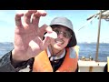 【釣り】ひっさしぶりの男飯リーズ第２６弾【アジ】
