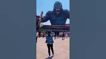 Ride Designs That Went Too Far Shorts 