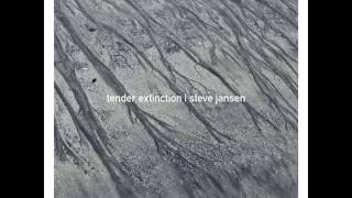 Video thumbnail of "Steve Jansen feat. Perry Blake - Her Distance"